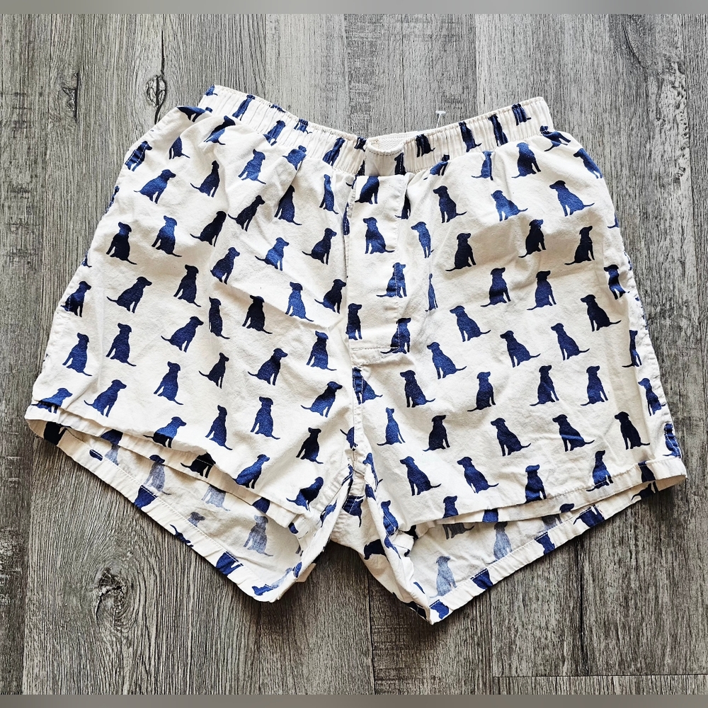 J. Crew White and Blue Nautical Pattern Shorts Boxer in Labrador print